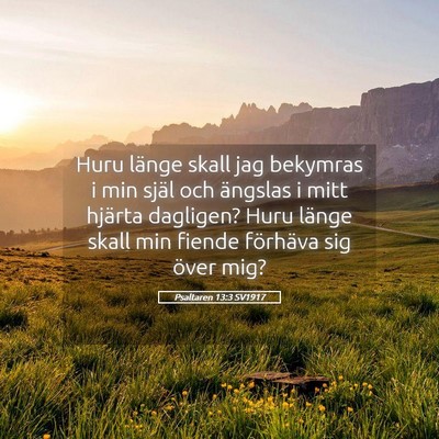 Picture 05 - Psaltaren 13:3 SV1917 - Huru länge skall jag bekymras i min själ och - Bible Verse Picture