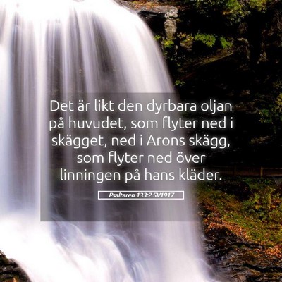 Picture 05 - Psaltaren 133:2 SV1917 - Det är likt den dyrbara oljan på huvudet, som - Bible Verse Picture
