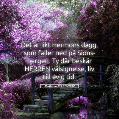 Picture 05 - Psaltaren 133:3 SV1917 - Det är likt Hermons dagg, som faller ned på - Bible Verse Picture