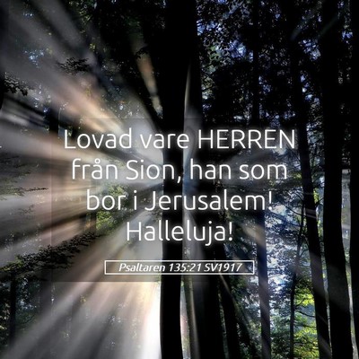 Picture 05 - Psaltaren 135:21 SV1917 - Lovad vare HERREN från Sion, han som bor i - Bible Verse Picture