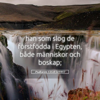 Picture 05 - Psaltaren 135:8 SV1917 - han som slog de förstfödda i Egypten, både - Bible Verse Picture