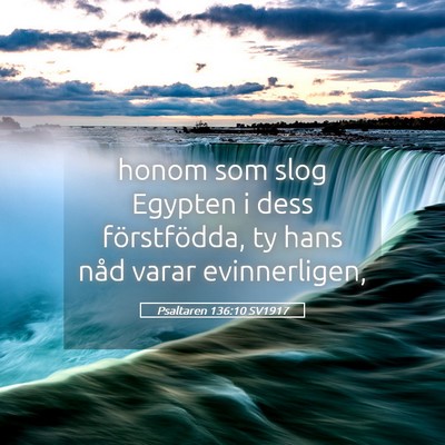 Picture 05 - Psaltaren 136:10 SV1917 - honom som slog Egypten i dess förstfödda, ty - Bible Verse Picture