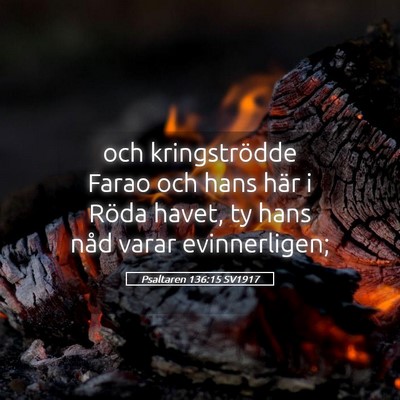 Picture 05 - Psaltaren 136:15 SV1917 - och kringströdde Farao och hans här i Röda - Bible Verse Picture