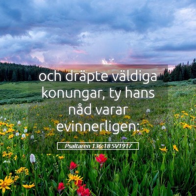 Picture 05 - Psaltaren 136:18 SV1917 - och dräpte väldiga konungar, ty hans nåd varar - Bible Verse Picture