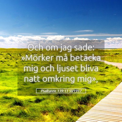 Picture 05 - Psaltaren 139:11 SV1917 - Och om jag sade: »Mörker må betäcka mig och - Bible Verse Picture