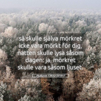 Picture 05 - Psaltaren 139:12 SV1917 - så skulle själva mörkret icke vara mörkt för - Bible Verse Picture