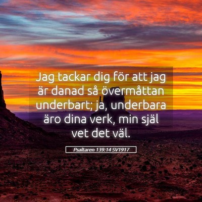 Picture 05 - Psaltaren 139:14 SV1917 - Jag tackar dig för att jag är danad så - Bible Verse Picture