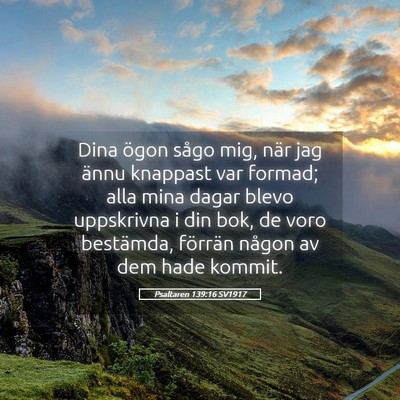 Picture 05 - Psaltaren 139:16 SV1917 - Dina ögon sågo mig, när jag ännu knappast var - Bible Verse Picture