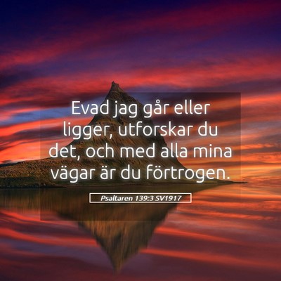 Picture 05 - Psaltaren 139:3 SV1917 - Evad jag går eller ligger, utforskar du det, och - Bible Verse Picture