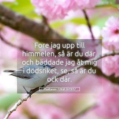 Picture 05 - Psaltaren 139:8 SV1917 - Fore jag upp till himmelen, så är du där, och - Bible Verse Picture