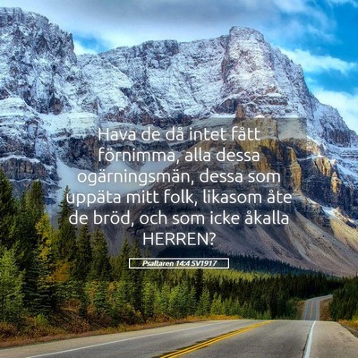 Picture 05 - Psaltaren 14:4 SV1917 - Hava de då intet fått förnimma, alla dessa - Bible Verse Picture