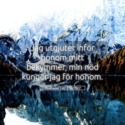 Picture 05 - Psaltaren 142:3 SV1917 - Jag utgjuter inför honom mitt bekymmer, min nöd - Bible Verse Picture