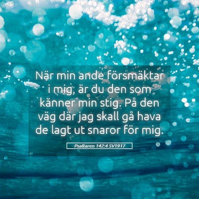 Picture 05 - Psaltaren 142:4 SV1917 - När min ande försmäktar i mig, är du den som - Bible Verse Picture