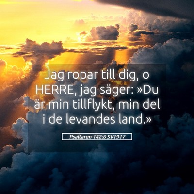 Picture 05 - Psaltaren 142:6 SV1917 - Jag ropar till dig, o HERRE, jag säger: »Du är - Bible Verse Picture