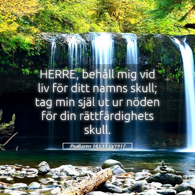 Picture 05 - Psaltaren 143:11 SV1917 - HERRE, behåll mig vid liv för ditt namns skull; - Bible Verse Picture