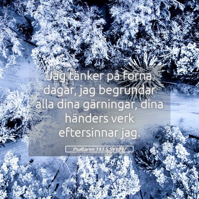 Picture 05 - Psaltaren 143:5 SV1917 - Jag tänker på forna dagar, jag begrundar alla - Bible Verse Picture