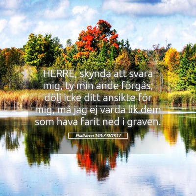 Picture 05 - Psaltaren 143:7 SV1917 - HERRE, skynda att svara mig, ty min ande - Bible Verse Picture