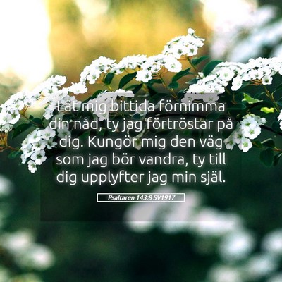 Picture 05 - Psaltaren 143:8 SV1917 - Låt mig bittida förnimma din nåd, ty jag - Bible Verse Picture