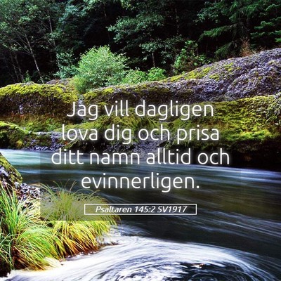 Picture 05 - Psaltaren 145:2 SV1917 - Jag vill dagligen lova dig och prisa ditt namn - Bible Verse Picture