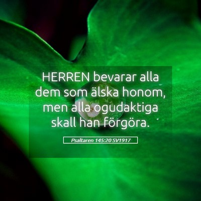 Picture 05 - Psaltaren 145:20 SV1917 - HERREN bevarar alla dem som älska honom, men - Bible Verse Picture