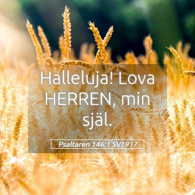 Picture 05 - Psaltaren 146:1 SV1917 - Halleluja! Lova HERREN, min - Bible Verse Picture