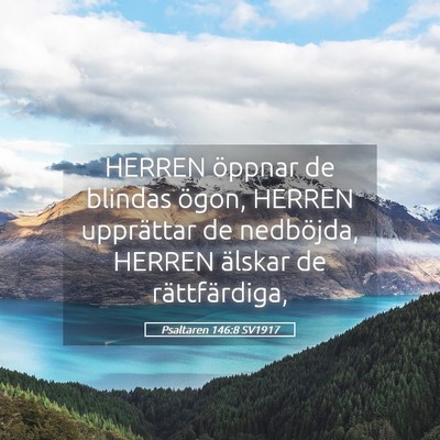 Picture 05 - Psaltaren 146:8 SV1917 - HERREN öppnar de blindas ögon, HERREN - Bible Verse Picture