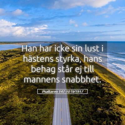 Picture 05 - Psaltaren 147:10 SV1917 - Han har icke sin lust i hästens styrka, hans - Bible Verse Picture