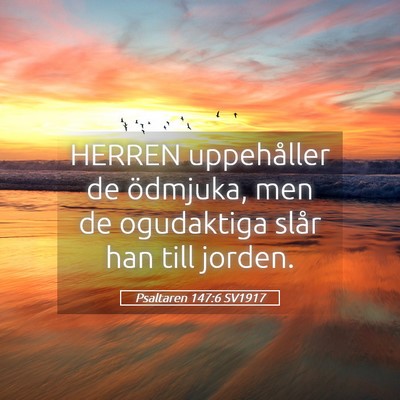 Picture 05 - Psaltaren 147:6 SV1917 - HERREN uppehåller de ödmjuka, men de ogudaktiga - Bible Verse Picture
