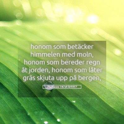 Picture 05 - Psaltaren 147:8 SV1917 - honom som betäcker himmelen med moln, honom som - Bible Verse Picture