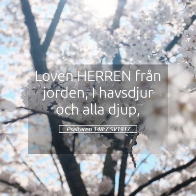 Picture 05 - Psaltaren 148:7 SV1917 - Loven HERREN från jorden, I havsdjur och alla - Bible Verse Picture