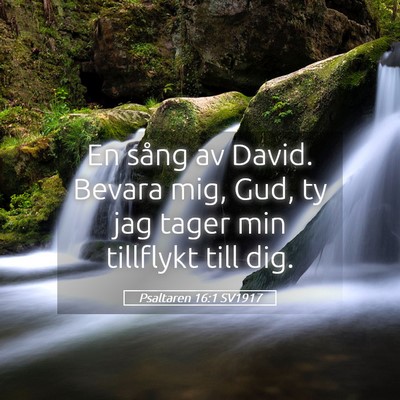 Picture 05 - Psaltaren 16:1 SV1917 - En sång av David. Bevara mig, Gud, ty jag tager - Bible Verse Picture