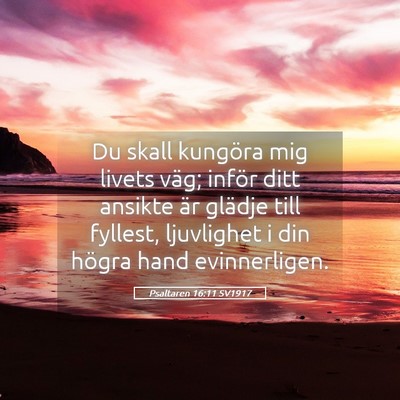 Picture 05 - Psaltaren 16:11 SV1917 - Du skall kungöra mig livets väg; inför ditt - Bible Verse Picture