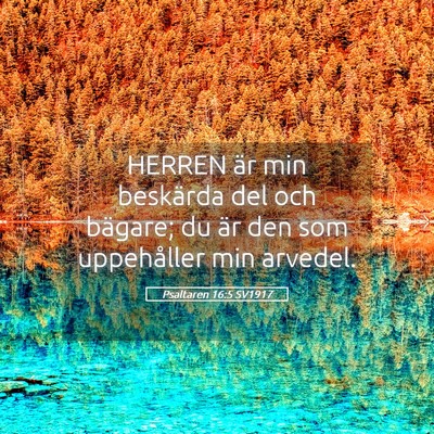 Picture 05 - Psaltaren 16:5 SV1917 - HERREN är min beskärda del och bägare; du är - Bible Verse Picture