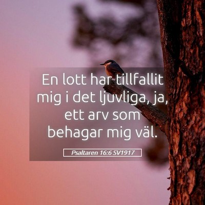 Picture 05 - Psaltaren 16:6 SV1917 - En lott har tillfallit mig i det ljuvliga, ja, - Bible Verse Picture
