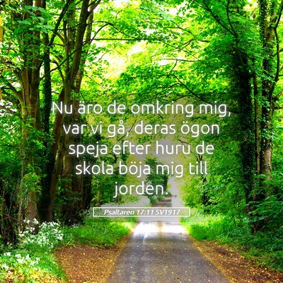 Picture 05 - Psaltaren 17:11 SV1917 - Nu äro de omkring mig, var vi gå, deras ögon - Bible Verse Picture