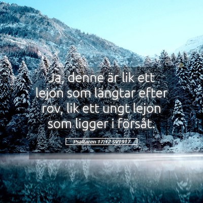 Picture 05 - Psaltaren 17:12 SV1917 - Ja, denne är lik ett lejon som längtar efter - Bible Verse Picture