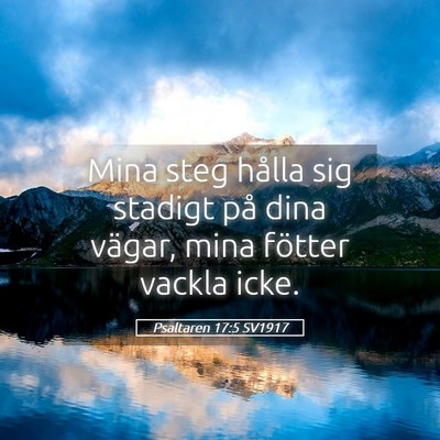 Picture 05 - Psaltaren 17:5 SV1917 - Mina steg hålla sig stadigt på dina vägar, - Bible Verse Picture