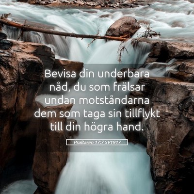 Picture 05 - Psaltaren 17:7 SV1917 - Bevisa din underbara nåd, du som frälsar undan - Bible Verse Picture