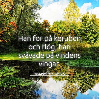 Picture 05 - Psaltaren 18:11 SV1917 - Han for på keruben och flög, han svävade på - Bible Verse Picture