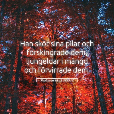 Picture 05 - Psaltaren 18:15 SV1917 - Han sköt sina pilar och förskingrade dem, - Bible Verse Picture