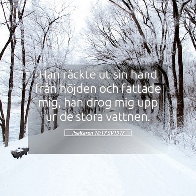 Picture 05 - Psaltaren 18:17 SV1917 - Han räckte ut sin hand från höjden och fattade - Bible Verse Picture
