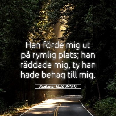 Picture 05 - Psaltaren 18:20 SV1917 - Han förde mig ut på rymlig plats; han räddade - Bible Verse Picture