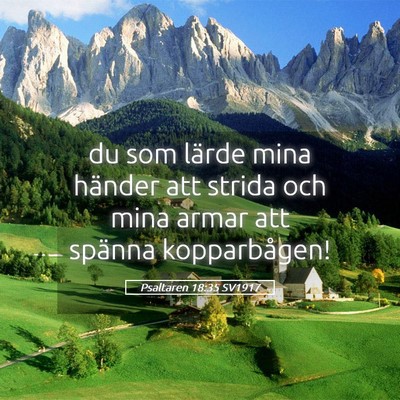 Picture 05 - Psaltaren 18:35 SV1917 - du som lärde mina händer att strida och mina - Bible Verse Picture