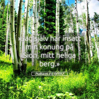 Picture 05 - Psaltaren 2:6 SV1917 - »Jag själv har insatt min konung på Sion, mitt - Bible Verse Picture