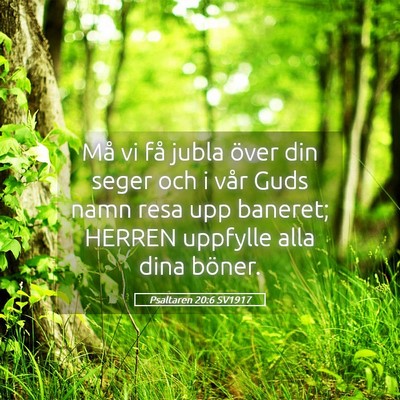 Picture 05 - Psaltaren 20:6 SV1917 - Må vi få jubla över din seger och i vår Guds - Bible Verse Picture