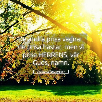 Picture 05 - Psaltaren 20:8 SV1917 - De andra prisa vagnar, de prisa hästar, men vi - Bible Verse Picture