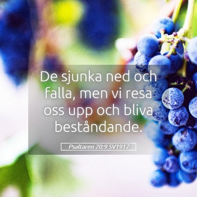 Picture 05 - Psaltaren 20:9 SV1917 - De sjunka ned och falla, men vi resa oss upp och - Bible Verse Picture