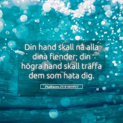 Picture 05 - Psaltaren 21:9 SV1917 - Din hand skall nå alla dina fiender; din högra - Bible Verse Picture