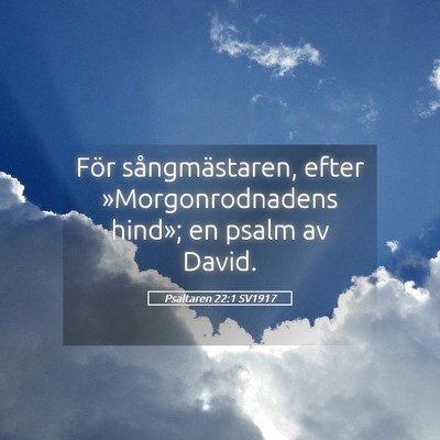 Picture 05 - Psaltaren 22:1 SV1917 - För sångmästaren, efter »Morgonrodnadens - Bible Verse Picture