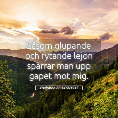Picture 05 - Psaltaren 22:14 SV1917 - Såsom glupande och rytande lejon spärrar man - Bible Verse Picture